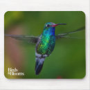Suche nach kolibri mousepads Vogelbeobachter