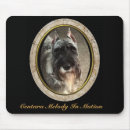 Suche nach standardschnauzer Schnauzers