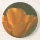 Suche nach mohnblumen untersetzer Mit blumen
