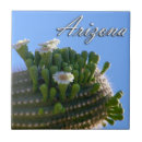 Suche nach saguaro fliesen Wüste
