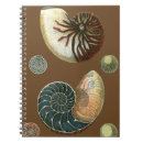 Suche nach muscheln kleine notizbücher Seashell