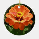 Suche nach geburtstag ornamente Hübsch