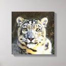 Suche nach schneeleopard poster Wild lebende tiere