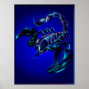 Suche nach insectes poster Scorpion