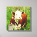 Suche nach bio landwirtschaft poster Grün