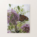 Suche nach lavendel blume puzzle Schmetterling