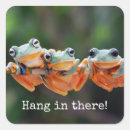 Suche nach niedlicher baumfrosch aufkleber Grün