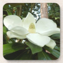 Suche nach hard untersetzer Hart