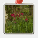 Suche nach frühlings blumen ornamente Landschaft