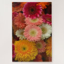 Suche nach gerbera puzzle Daisy