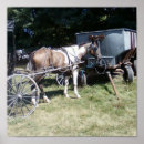 Suche nach pinto Horse