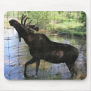 Suche nach elch mousepads Natur
