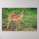 Suche nach farbbild poster Farbe