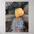 Suche nach grüner baum poster Gelb