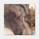 Suche nach jagdhunde magnete Welpe