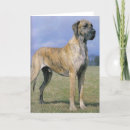 Suche nach für great dane karten Hund