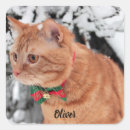 Suche nach katze schnee aufkleber Tier
