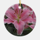 Suche nach rosa lilien ornamente Blume