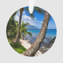 Suche nach strand ornamente Hawaii