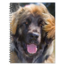Suche nach fell kleine notizbücher Hund