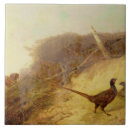 Suche nach fasan fliesen Jagd