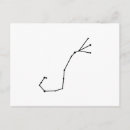 Suche nach zodiac postkarten Skorpio