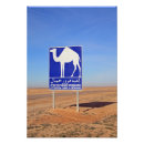 Suche nach kamele poster Afrika