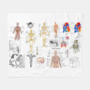 Suche nach anatomie decken Medizinstudent