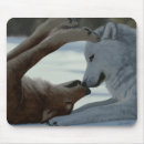Suche nach wölfe schnee mousepads Winter