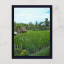 Suche nach hinduismus postkarten Spiritualität