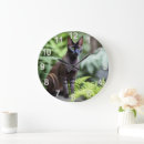 Suche nach haltung kunst Katze