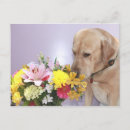 Suche nach moser postkarten Blume