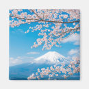Suche nach fujisan magnete Fujikawaguchiko