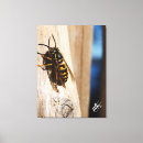 Suche nach bienen leinwandbilder Natur
