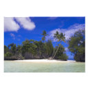 Suche nach palau poster Palme