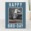 Suche nach birdwatcher karten Vogelbeobachter