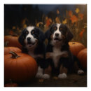 Suche nach berner sennenhund poster Welpe