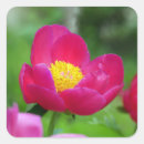 Suche nach gelbe rose aufkleber Quelle