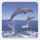 Suche nach tümmler aufkleber Delfin