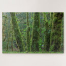 Suche nach ahornbaum puzzle Superstock