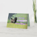 Suche nach cairns karten Haustier