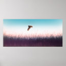 Suche nach hawker poster Tiere