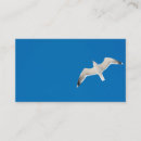 Suche nach möwen visitenkarten Himmel