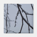 Suche nach eisig magnete Winter