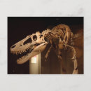 Suche nach naturgeschichte poster Museum