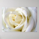 Suche nach flowers poster Motivation