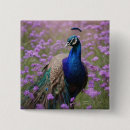 Suche nach blauer pfau buttons Vogel