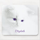 Suche nach auge mousepads Katze