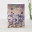 Suche nach lavendel blumen karten Fotografie