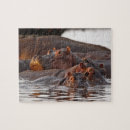 Suche nach hippopotamus puzzle Tansania